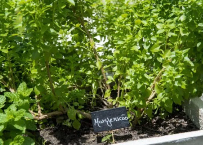 Porto Kaete Hotel Maceió